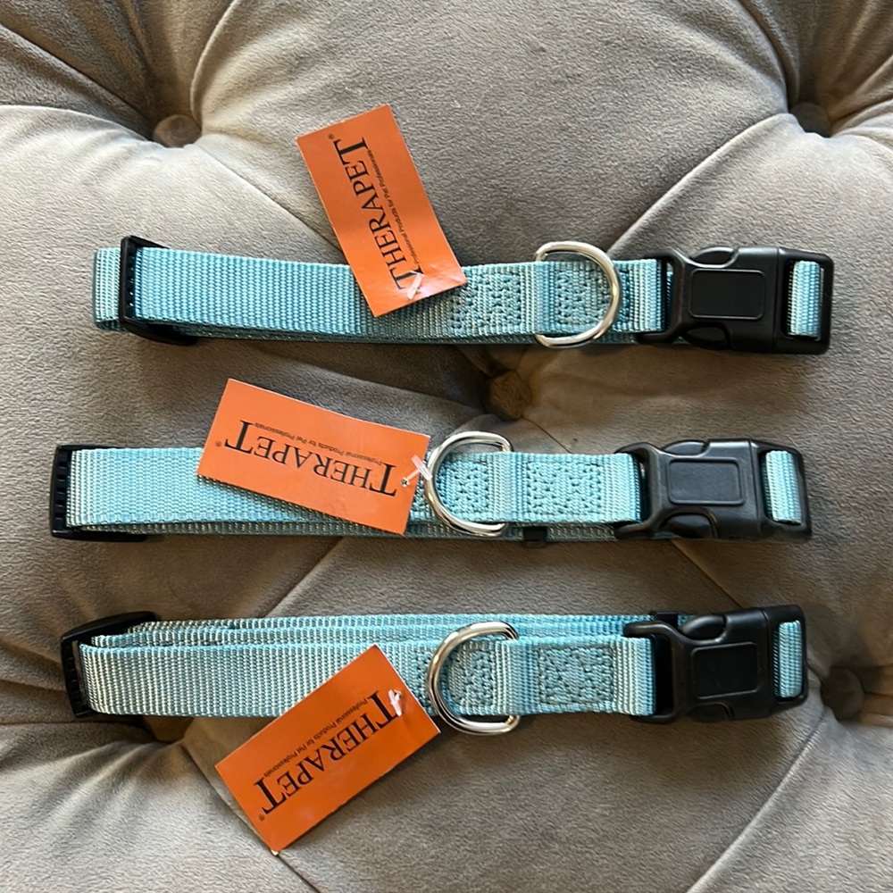 Blue Nylon Adjustable Dog Collar